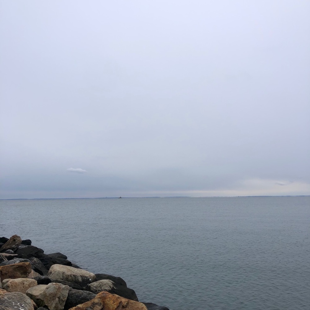 Meet your Posher, Courtney